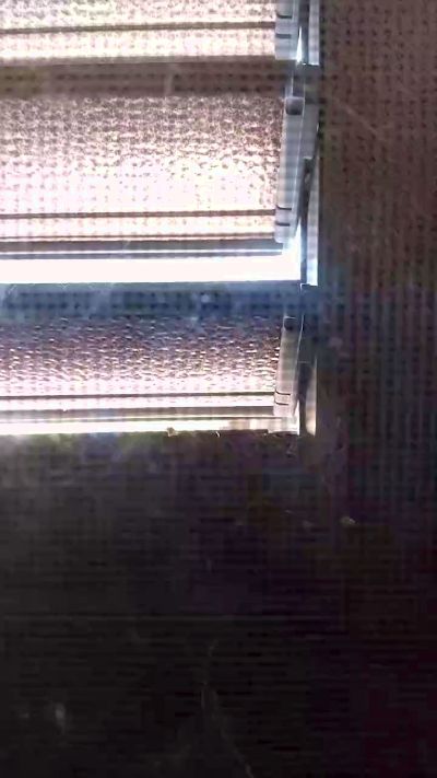 Geusii live cam on Cam4