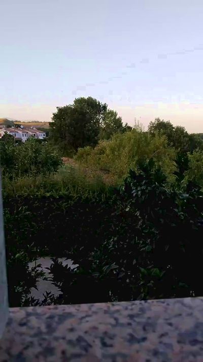 Geusii live cam on Cam4