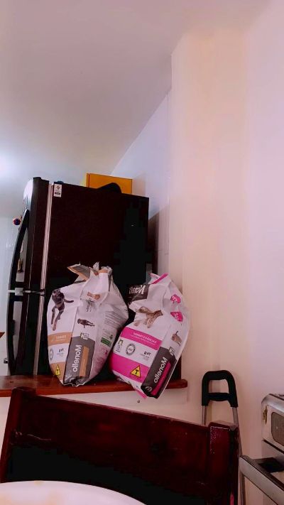 Gh4nima live cam on Cam4