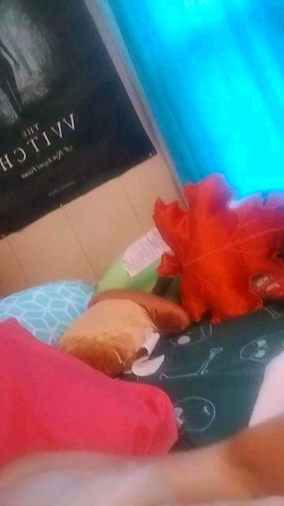 Profile and Statistics for Gingy2477 on Cam4
