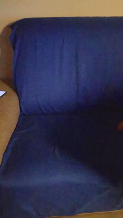 Giorgia981 live cam on Cam4