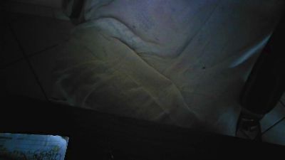 Giornalista66 live cam on Cam4