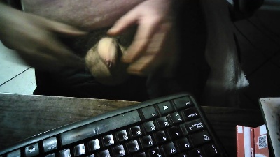 Giornalista66 live cam on Cam4