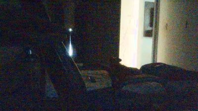 Gorilatatuadox live cam on Cam4