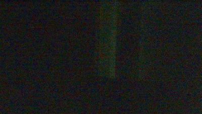 Gorilatatuadox live cam on Cam4
