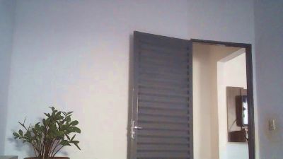 Gorilatatuadox live cam on Cam4