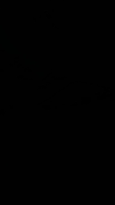 Gp_83 live cam on Cam4