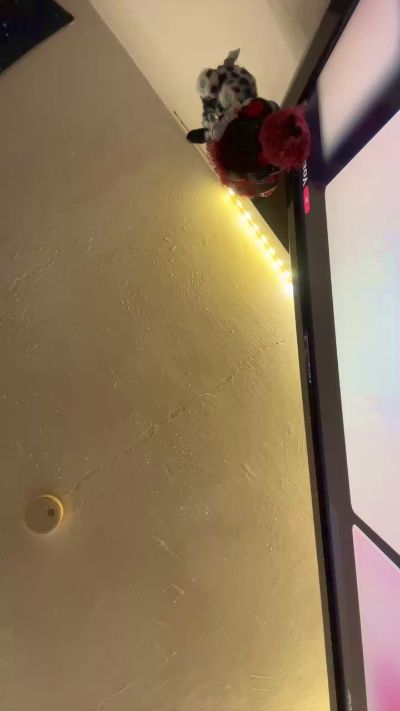 Greenbaby live cam on Cam4