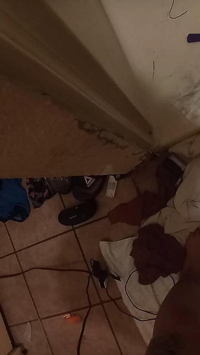 Greeneyefreak20 webcam