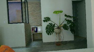 Grey___27 live cam on Cam4