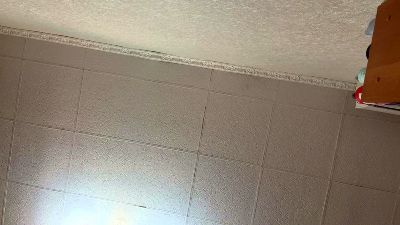 GriseldaRudeen live cam on Cam4