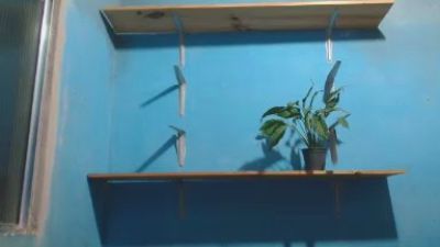 GuaracieJaci live cam on Cam4