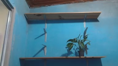 GuaracieJaci live cam on Cam4