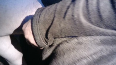 HH67MAN live cam on Cam4