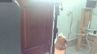 Hade06 live cam on Cam4