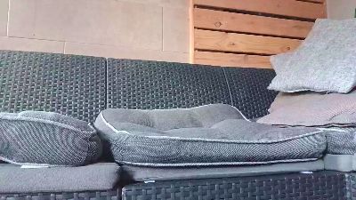 Harald175 live cam on Cam4