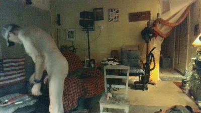 Hardinhand44 live cam on Cam4