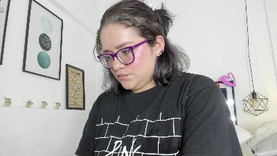 Helmisc webcam