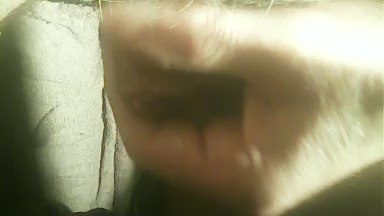 Hengstel73 live cam on Cam4