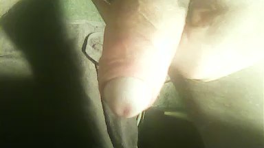 Hengstel73 live cam on Cam4