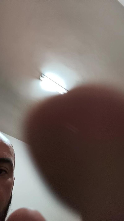 Preview of henrique_bear