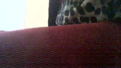 Hotchatstrip live cam on Cam4