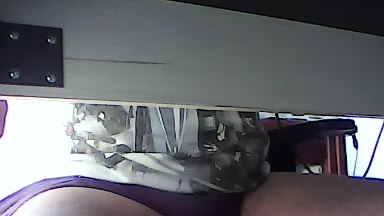 Houseman live cam on Cam4