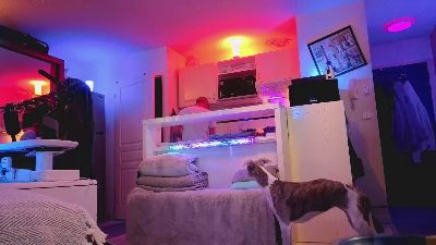 HuGo4K live cam on Cam4
