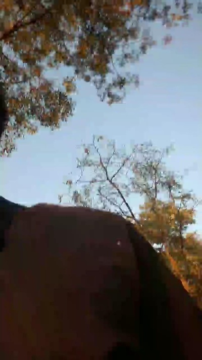 Hutchmansell live cam on Cam4