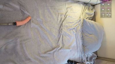 IMNOTSHYBABY live cam on Cam4