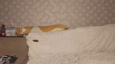 IdellaSorvillo live cam on Cam4