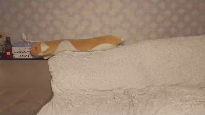 IdellaSorvillo live cam on Cam4