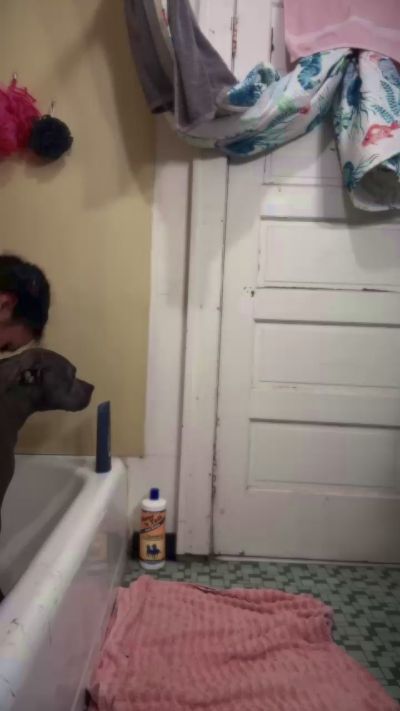 Ike_77 live cam on Cam4