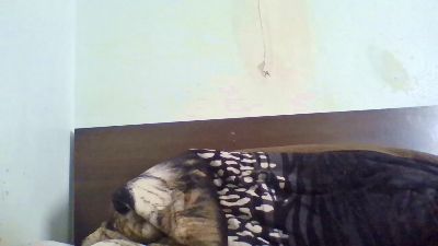 Indi live cam on Cam4