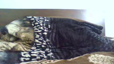 Indi live cam on Cam4