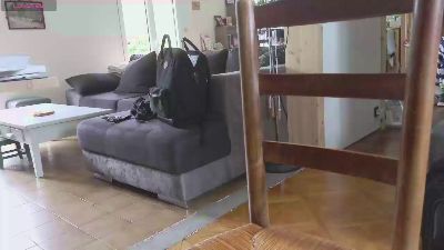 IndienTiger live cam on Cam4