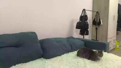 InesForehand live cam on Cam4