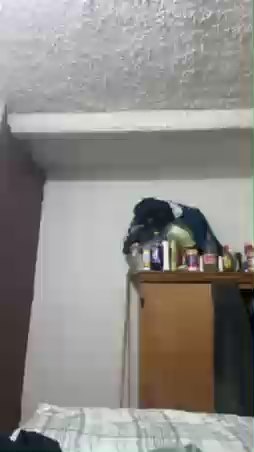 IngRV live cam on Cam4