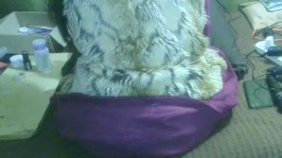 IngaQAce live cam on Cam4