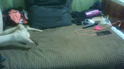 IngaQAce live cam on Cam4