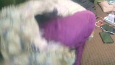 IngaQAce live cam on Cam4