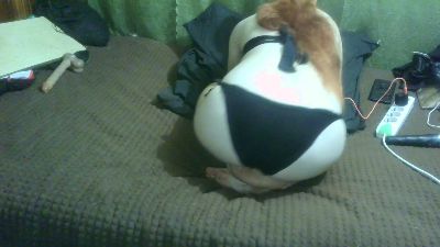 IngaQAce live cam on Cam4