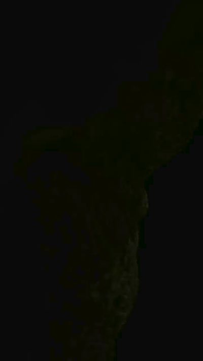 Irenalex live cam on Cam4