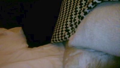 Ironias live cam on Cam4