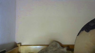 Isah2026 live cam on Cam4