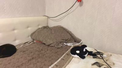 IvaLetts live cam on Cam4