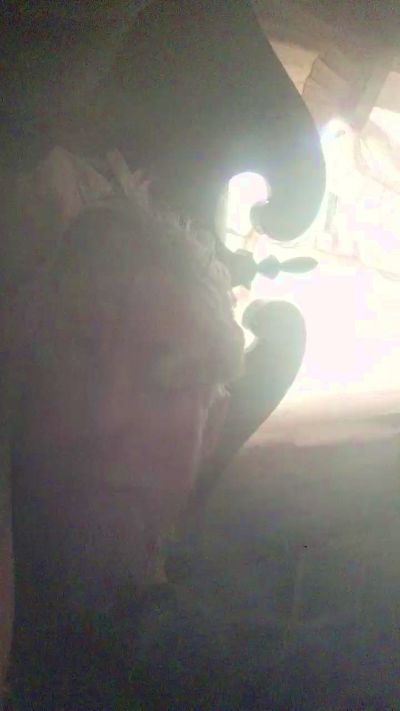 JBlaze83 live cam on Cam4