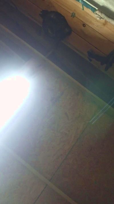 JBlaze83 live cam on Cam4