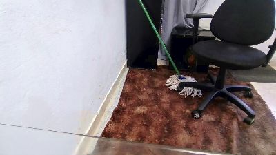 JBond007BBC live cam on Cam4
