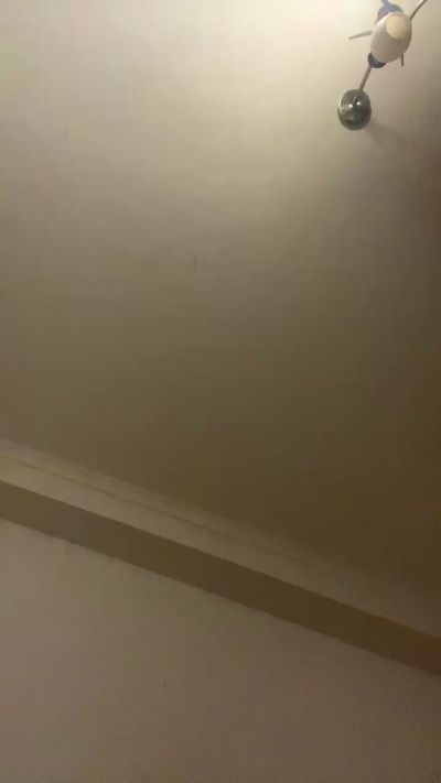Janitorasta30 Live Cam and Statistics on UnifiedCams